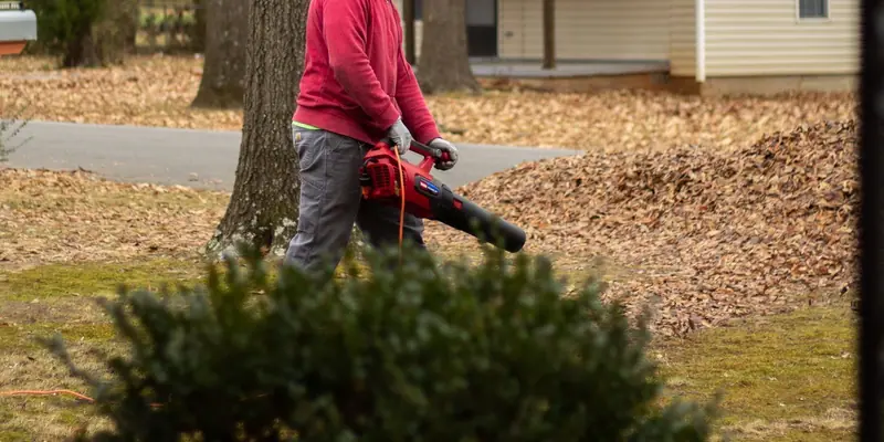 Worker clearing fallen leaves from a yard with a leaf blower